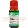APIS MELLIFICA LM 6 Dilution 10 ml | АПИС МЕЛЛИФИКА раствор 10 мл | ARCANA DR. SEWERIN