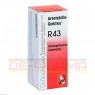 ARSETABILIS-Gastreu R43 Mischung 50 ml | АРСЕТАБИЛИС смесь 50 мл | DR.RECKEWEG
