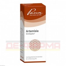 Артемизия Симилиплекс | Artemisia Similiaplex