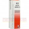 AURUM-GASTREU S R2 Mischung 22 ml | АУРУМ ГАСТРЕУ смесь 22 мл | DR.RECKEWEG