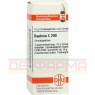 BAPTISIA C 200 Globuli 10 g | БАПТИСИЯ глобули 10 г | DHU