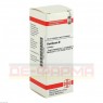 BASILICUM Urtinktur 20 ml | БАЗИЛИКУМ раствор 20 мл | DHU