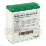 BELLADONNA HOMACCORD Ampullen 10 St | БЕЛАДОННА ХОМАККОРД ампули 10 шт | BIOLOGISCHE HEILMITTEL HEEL