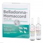 Беладонна Хомаккорд | Belladonna Homaccord