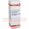 BELLIS PERENNIS D 2 Dilution 20 ml | БЕЛЛІС ПЕРЕНІС розчин 20 мл | DHU