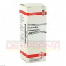 BERBERIS D 4 Dilution 20 ml | БЕРБЕРИС раствор 20 мл | DHU