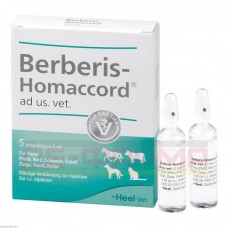 БЕРБЕРИС ХОМАККОРД | BERBERIS HOMACCORD