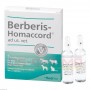 Берберис Хомаккорд | Berberis Homaccord