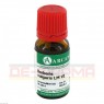 BERBERIS VULGARIS LM 6 Dilution 10 ml | БЕРБЕРИС ВУЛГАРИС раствор 10 мл | ARCANA DR. SEWERIN