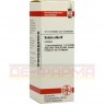 BETULA ALBA Urtinktur 20 ml | БЕТУЛА АЛЬБА раствор 20 мл | DHU