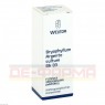 BRYOPHYLLUM ARGENTO cultum Rh D 3 Dilution 20 ml | БРІОФІЛУМ АРГЕНТО розчин 20 мл | WELEDA