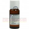 BRYOPHYLLUM D 1 Dilution 50 ml | БРІОФІЛЛУМ розчин 50 мл | WELEDA