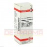 CALADIUM seguinum D 3 Dilution 20 ml | КАЛАДИУМ раствор 20 мл | DHU