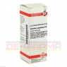 CALADIUM seguinum D 6 Dilution 20 ml | КАЛАДИУМ раствор 20 мл | DHU