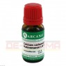 CALCIUM CARBONICUM Hahnemanni LM 6 Dilution 10 ml | КАЛЬЦИУМ КАРБОНИКУМ раствор 10 мл | ARCANA DR. SEWERIN