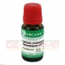 CALCIUM CARBONICUM Hahnemanni LM 12 Dilution 10 ml | КАЛЬЦИУМ КАРБОНИКУМ раствор 10 мл | ARCANA DR. SEWERIN