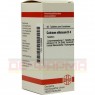 CALCIUM SILICICUM D 4 Tabletten 80 St | КАЛЬЦИУМ СИЛИЦИКУМ таблетки 80 шт | DHU