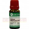 CALCIUM SULFURICUM LM 6 Dilution 10 ml | КАЛЬЦИУМ СУЛЬФУРИКУМ раствор 10 мл | ARCANA DR. SEWERIN