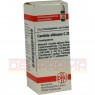 CANDIDA ALBICANS C 200 Globuli 10 g | КАНДИДА АЛЬБИКАНС глобули 10 г | DHU