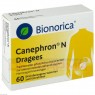 CANEPHRON N Dragees 60 St | КАНЕФРОН таблетки з покриттям 60 шт | BIONORICA | Рослинний урологічний засіб у комбінації