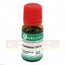 CANTHARIS LM 6 Dilution 10 ml | КАНТАРИС раствор 10 мл | ARCANA DR. SEWERIN