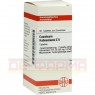 CAUSTICUM HAHNEMANNI C 6 Tabletten 80 St | КАУСТИКУМ ГАНЕМАНІ таблетки 80 шт | DHU