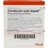 CEREBRUM SUIS Injeel Ampullen 10 St | ЦЕРЕБРУМ СУІС ампули 10 шт | BIOLOGISCHE HEILMITTEL HEEL