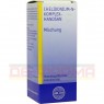 CHELIDONIUM N Komplex Hanosan flüssig 50 ml | ХЕЛИДОНИУМ жидкость 50 мл | HANOSAN