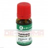 CHELIDONIUM MAJUS LM 6 Dilution 10 ml | ХЕЛИДОНИУМ МАЮС раствор 10 мл | ARCANA DR. SEWERIN