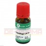 CIMICIFUGA LM 6 Dilution 10 ml | ЦИМИЦИФУГА раствор 10 мл | ARCANA DR. SEWERIN