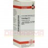 CIMICIFUGA D 4 Dilution 20 ml | ЦИМІЦИФУГА розчин 20 мл | DHU