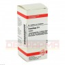 CIMICIFUGA D 4 Tabletten 80 St | ЦИМИЦИФУГА таблетки 80 шт | DHU