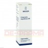 CINERARIA maritima D 3 Augentropfen 10 ml | ЦИНЕРАРИЯ глазные капли 10 мл | WELEDA