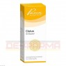 CISTUS SIMILIAPLEX Mischung 50 ml | ЦИСТУС СИМИЛИАПЛЕКС смесь 50 мл | PASCOE PHARMAZEUTISCHE PRÄPARATE