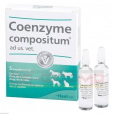 КОЭНЗИМ КОМПОЗИТУМ | COENZYME COMPOSITUM