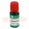 COLCHICUM LM 6 Dilution 10 ml | КОЛХІКУМ розчин 10 мл | ARCANA DR. SEWERIN