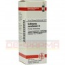 COLLINSONIA CANADENSIS D 4 Dilution 20 ml | КОЛЛИНСОНИЯ КАНАДЕНСИС раствор 20 мл | DHU