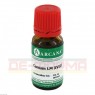 CONIUM LM 18 Dilution 10 ml | КОНИУМ раствор 10 мл | ARCANA DR. SEWERIN