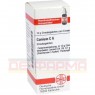 CONIUM C 6 Globuli 10 g | КОНИУМ глобули 10 г | DHU