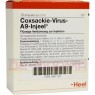 COXSACKIE-Virus A9 Injeel Ampullen 10 St | КОКСАКИ ампули 10 шт | BIOLOGISCHE HEILMITTEL HEEL