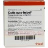 CUTIS suis Injeel Ampullen 10 St | КУТИС ампулы 10 шт | BIOLOGISCHE HEILMITTEL HEEL