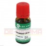 DULCAMARA LM 6 Dilution 10 ml | ДУЛКАМАРА розчин 10 мл | ARCANA DR. SEWERIN