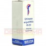 ECHINACEA ANGUSTIFOLIA Rh D 3 Dilution 20 ml | ЭХИНАЦЕЯ АНГУСТИФОЛИЯ раствор 20 мл | WELEDA