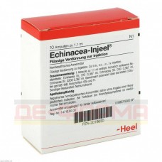 ЭХИНАЦЕЯ ИНЬЕЛЬ | ECHINACEA INJEEL