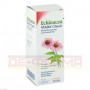 Эхинацея | Echinacea