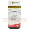 ECHINACEA E planta tota D 6 Globuli 20 g | ЭХИНАЦЕЯ глобули 20 г | WALA HEILMITTEL