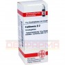 EICHHORNIA D 2 Globuli 10 g | ЕЙХОРНІЯ глобули 10 г | DHU