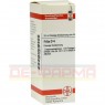 FILIX D 4 Dilution 20 ml | ФИЛИКС раствор 20 мл | DHU