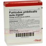 FUNICULUS UMBILICALIS suis Injeel Ampullen 10 St | ФУНИКУЛЮС УМБИЛИКАЛИС ампулы 10 шт | BIOLOGISCHE HEILMITTEL HEEL