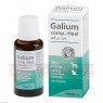 GALIUM COMP.-Heel ad us.vet.Tropfen 30 ml | ГАЛИУМ КОМП капли 30 мл | BIOLOGISCHE HEILMITTEL HEEL